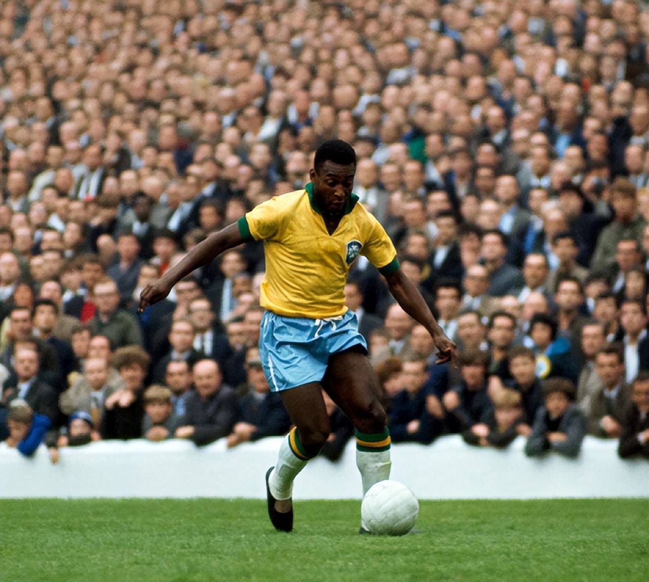 皮下组织与 皮下组织与